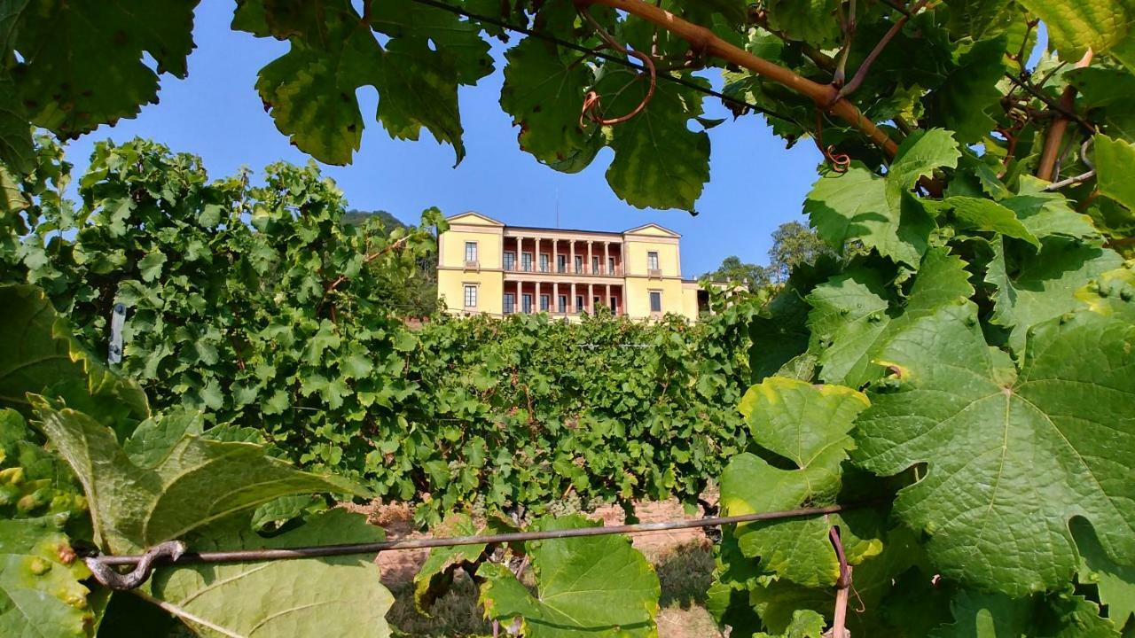 Ferienhaus Rauwolf Mit 2 Ferienwohnungen Roschbach Exteriör bild