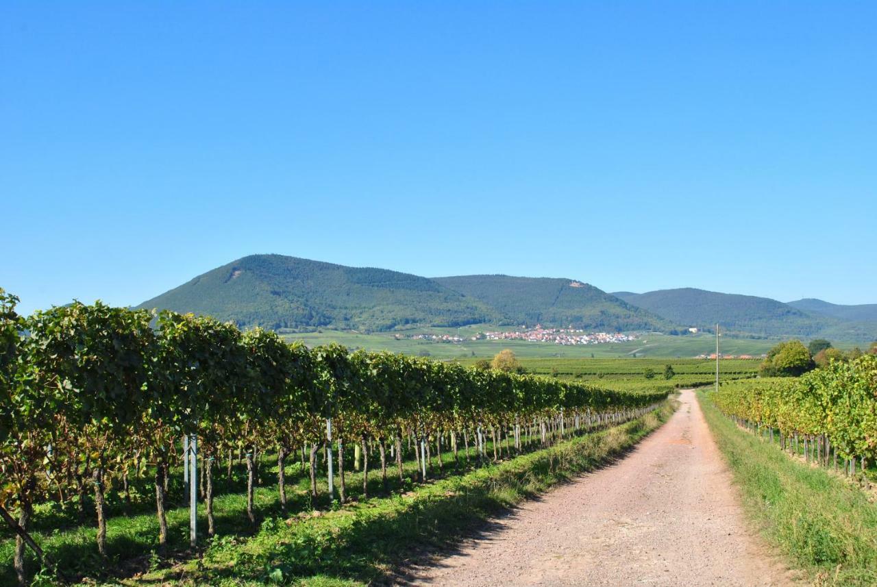 Ferienhaus Rauwolf Mit 2 Ferienwohnungen Roschbach Exteriör bild